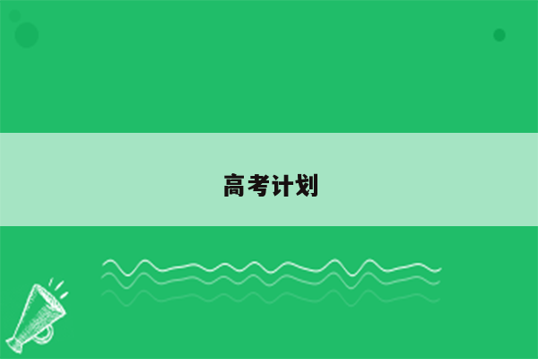 高考计划