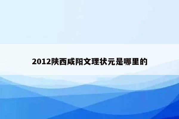 2012陕西咸阳文理状元是哪里的