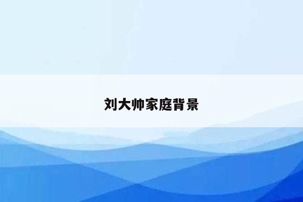 刘大帅家庭背景
