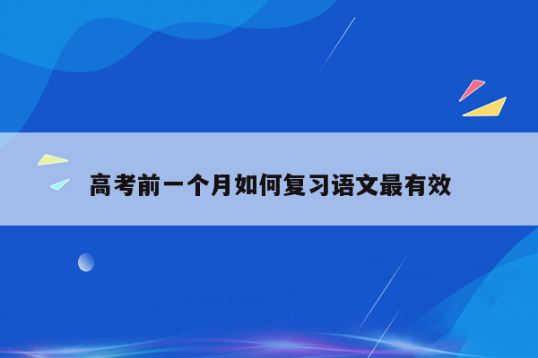 高考前一个月如何复习语文最有效