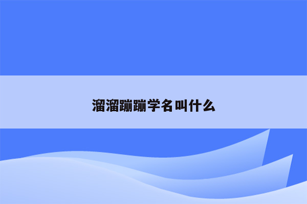 溜溜蹦蹦学名叫什么