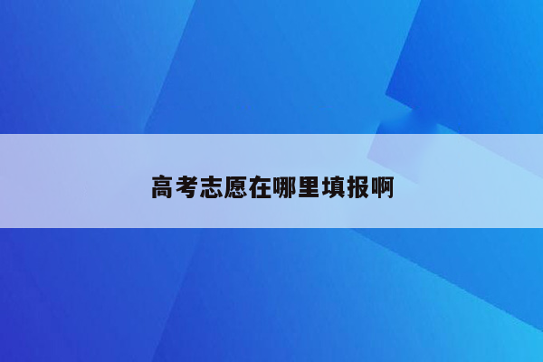 高考志愿在哪里填报啊