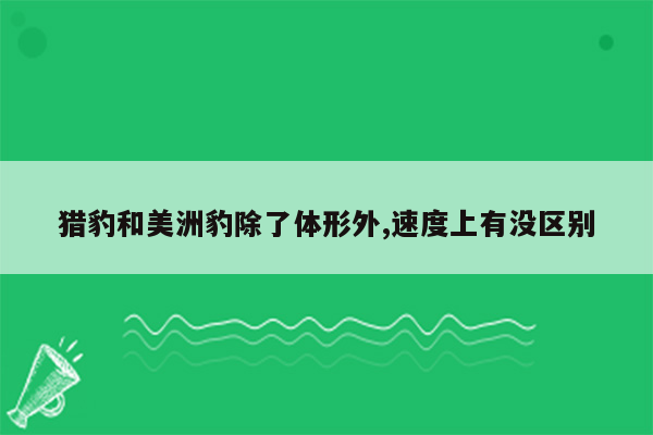 猎豹和美洲豹除了体形外,速度上有没区别
