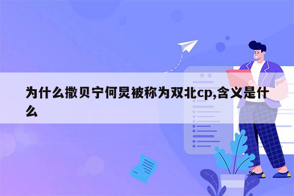 为什么撒贝宁何炅被称为双北cp,含义是什么