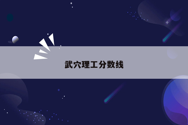 武穴理工分数线