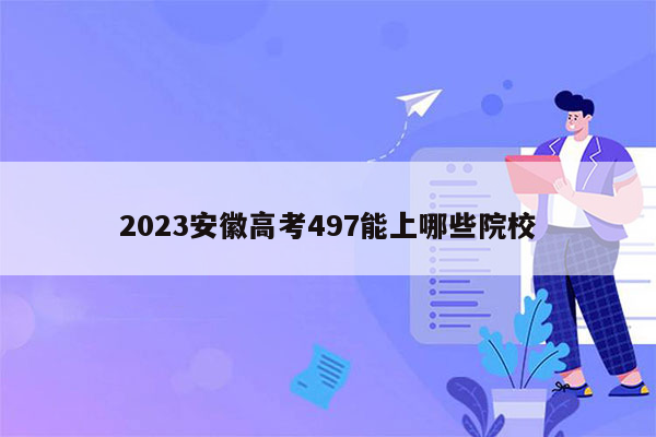 2023安徽高考497能上哪些院校
