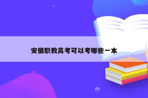 安徽职教高考可以考哪些一本