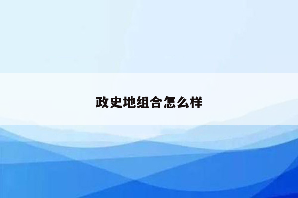 政史地组合怎么样