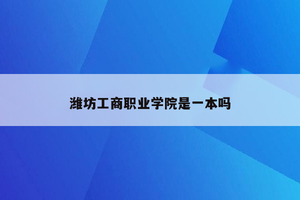 潍坊工商职业学院是一本吗