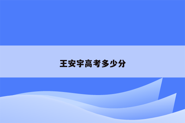 王安宇高考多少分