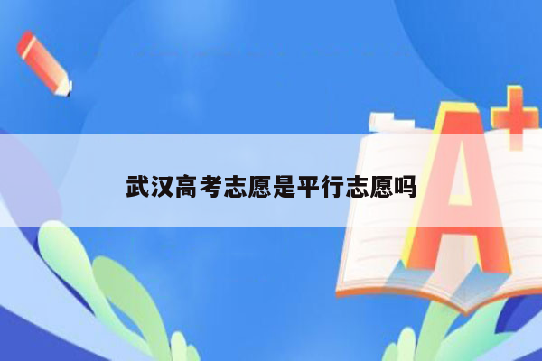 武汉高考志愿是平行志愿吗
