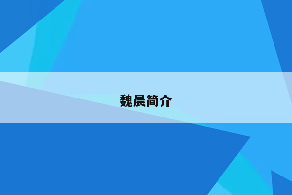 魏晨简介