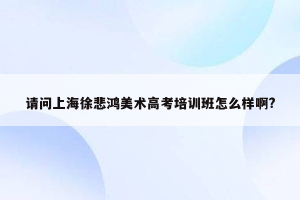 请问上海徐悲鸿美术高考培训班怎么样啊?