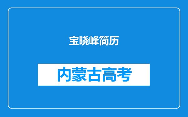 宝晓峰简历