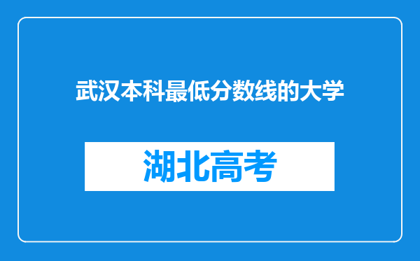 武汉本科最低分数线的大学