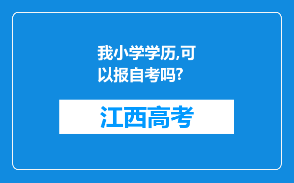我小学学历,可以报自考吗?