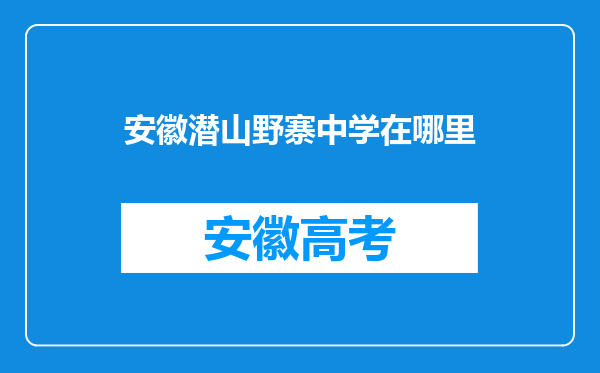 安徽潜山野寨中学在哪里