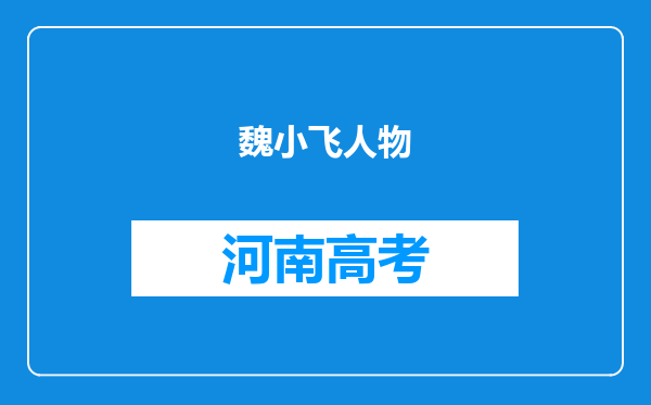 魏小飞人物