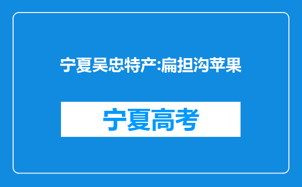 宁夏吴忠特产:扁担沟苹果
