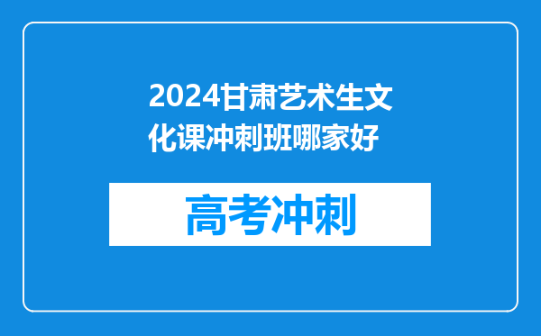 2024甘肃艺术生文化课冲刺班哪家好