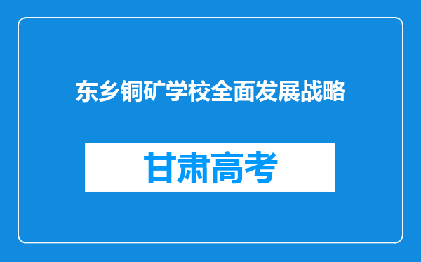 东乡铜矿学校全面发展战略