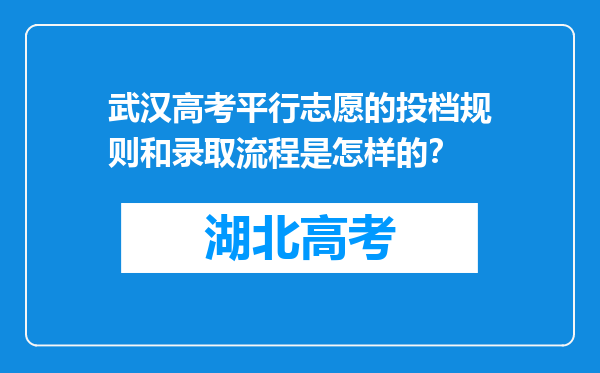 武汉高考平行志愿的投档规则和录取流程是怎样的？