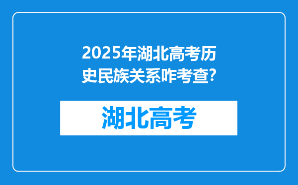 2025年湖北高考历史民族关系咋考查？
