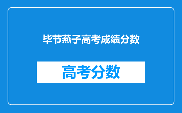 毕节燕子高考成绩分数
