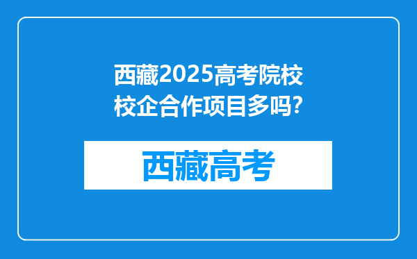西藏2025高考院校校企合作项目多吗？