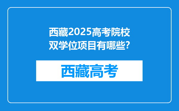 西藏2025高考院校双学位项目有哪些？