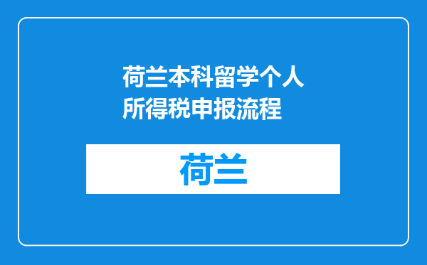 荷兰本科留学个人所得税申报流程