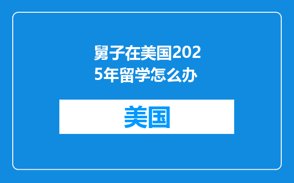 舅子在美国2025年留学怎么办
