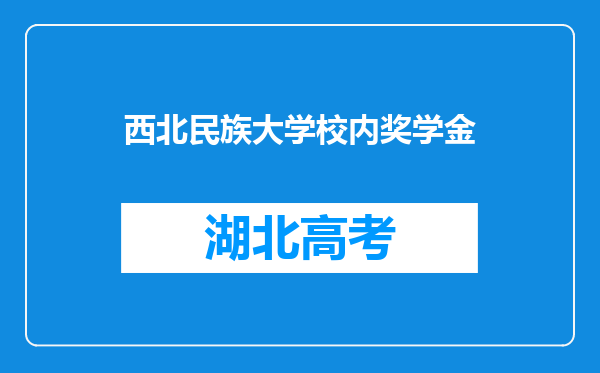 西北民族大学校内奖学金